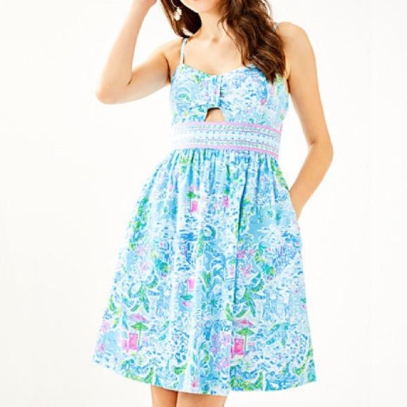 Lilly Pulitzer Dresses & Skirts - Lilly Pulitzer Katelyn dress what a lovely place engineered NWT 8